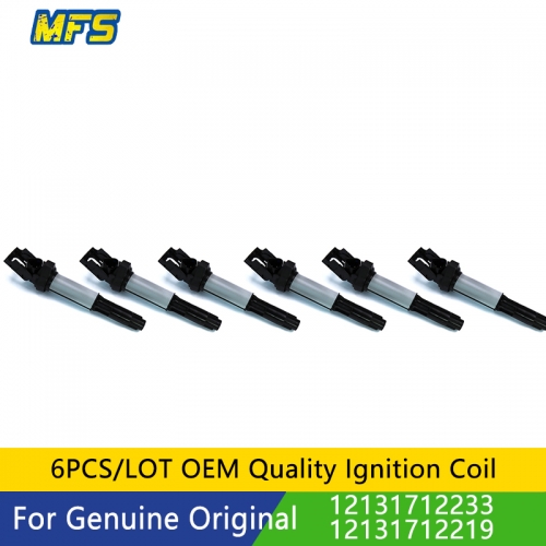 OE 12131712233 12131712219 Ignition coil for BMW 130i #MFSB2209