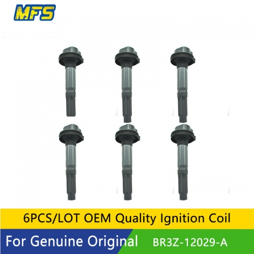 OE BR3Z12029A Ignition coil for Ford F150 #MFSF137